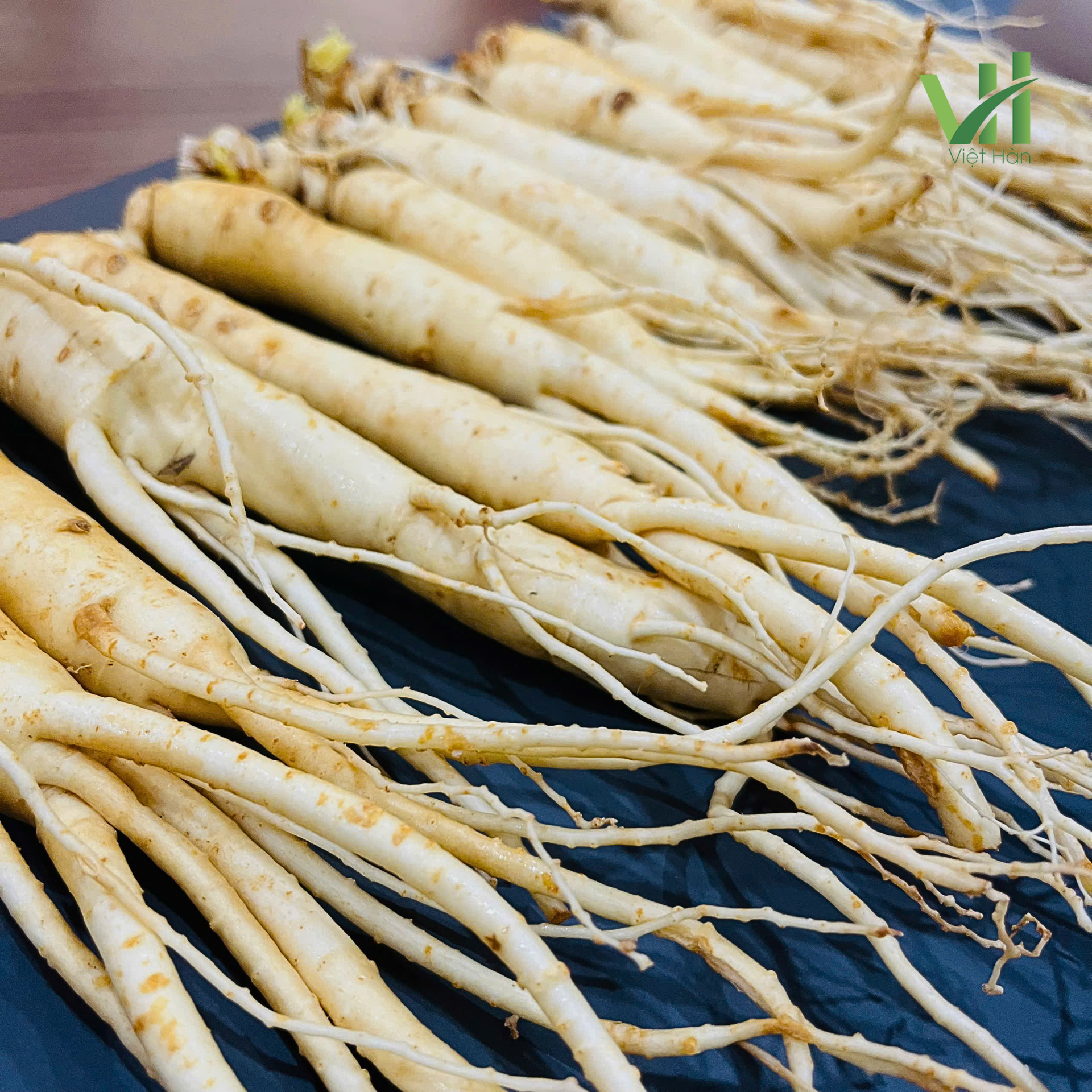 Sâm tươi Hàn Quốc 14 củ 700 gram loại 1 - Ảnh 5