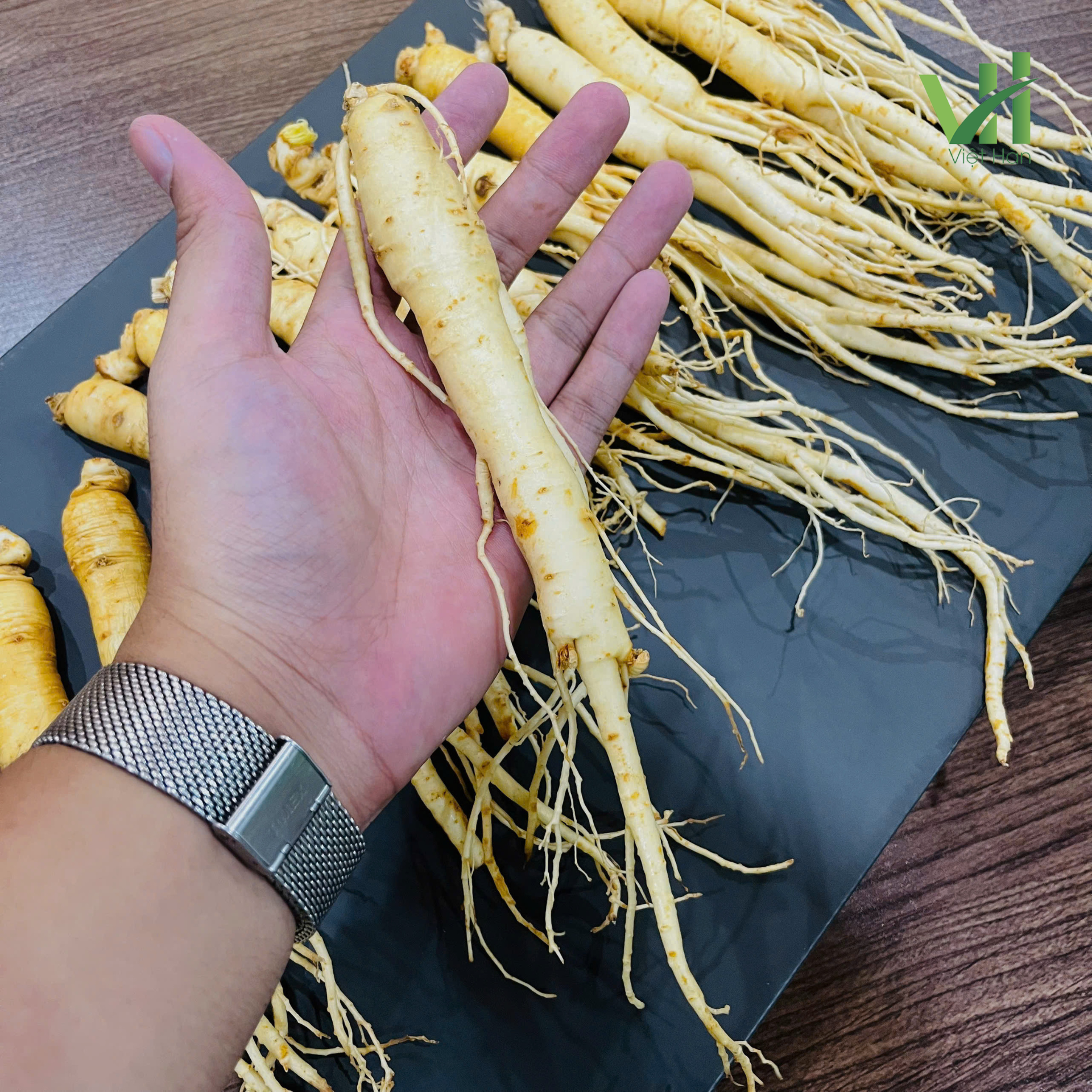 Sâm tươi Hàn Quốc 14 củ 700 gram loại 1 - Ảnh 4