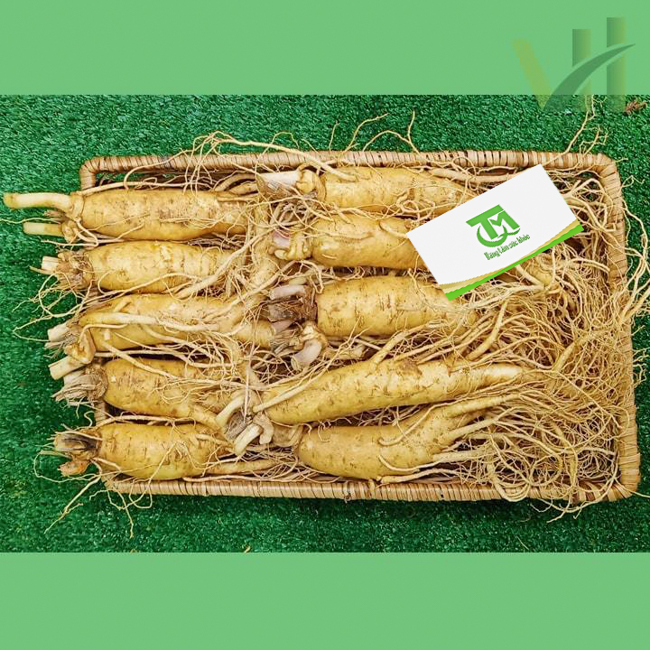 Sâm tươi Hàn Quốc 10 củ 1 kg – Sâm loại 1 - Ảnh 6