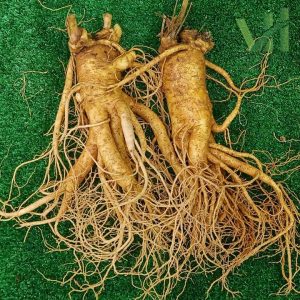Sâm tươi Hàn Quốc 2 củ 700 gram loại 1