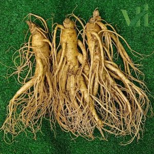Sâm tươi Hàn Quốc 3 củ 700 gram – Sự lựa chọn phù hợp để làm rượu sâm
